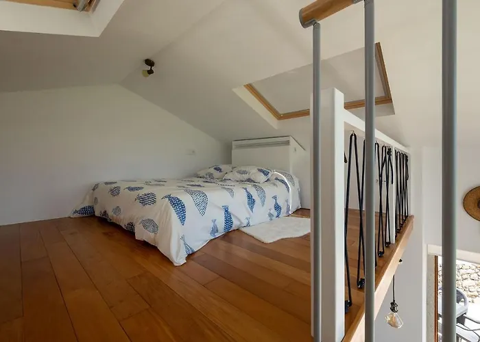 Suleiro Caldebarcos Карнота